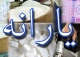 توقف اجرای فاز دوم هدفمندی/ یارانه نقدی افزایش نمی یابد