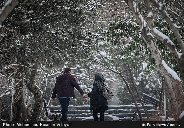 تصاویر : بارش برف در تهران