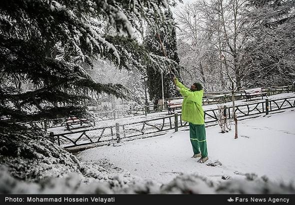 تصاویر : بارش برف در تهران