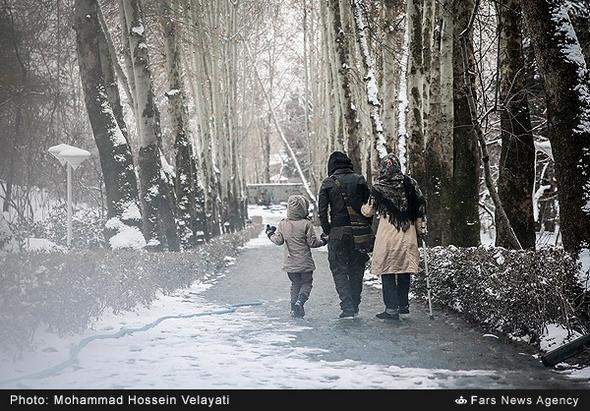 تصاویر : بارش برف در تهران