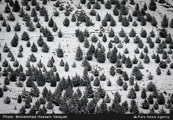 تصاویر : بارش برف در تهران