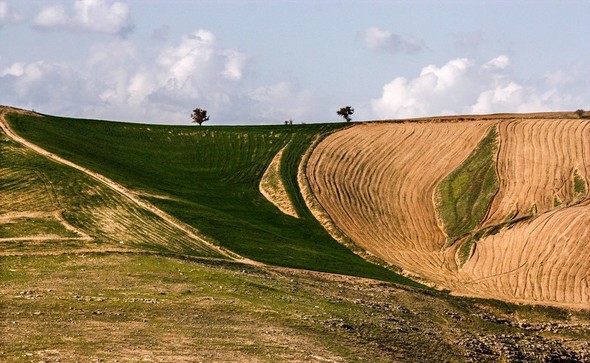 تصاویر : طبیعت بهاری بجنورد