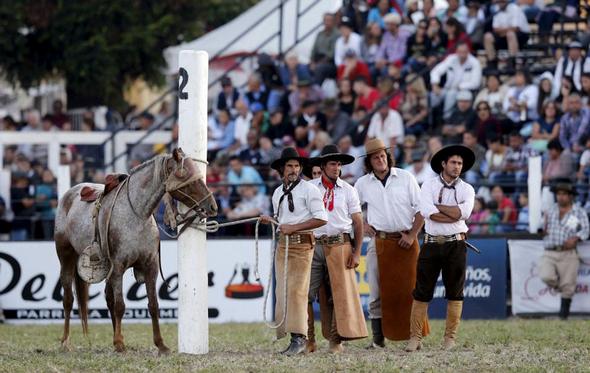 تصاویر : گاوچران های آمریکای لاتین‎