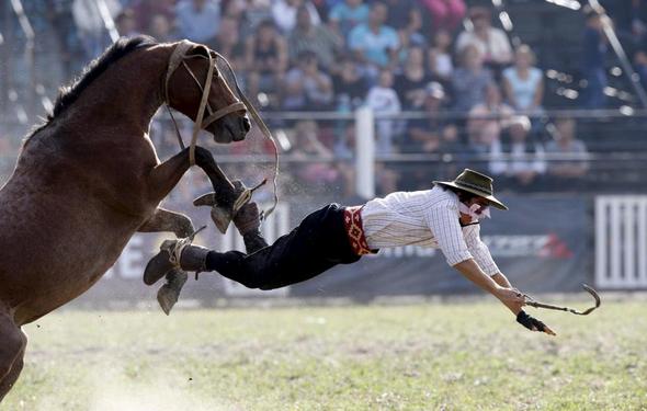 تصاویر : گاوچران های آمریکای لاتین‎