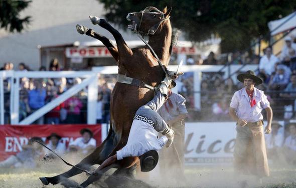 تصاویر : گاوچران های آمریکای لاتین‎