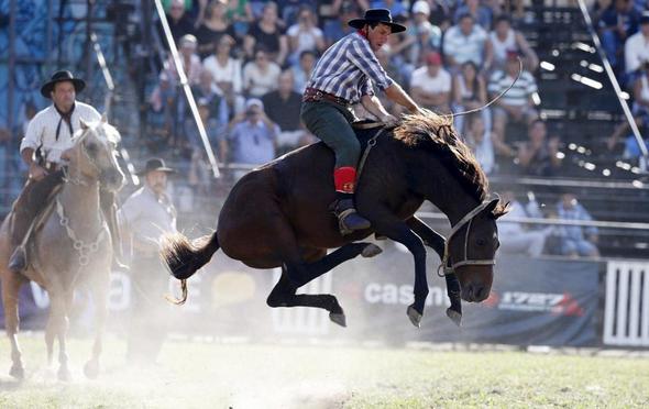 تصاویر : گاوچران های آمریکای لاتین‎