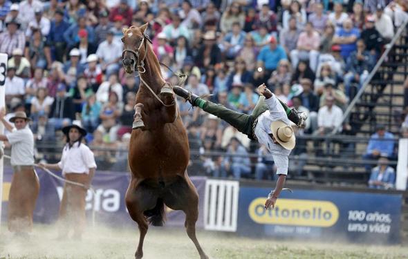 تصاویر : گاوچران های آمریکای لاتین‎
