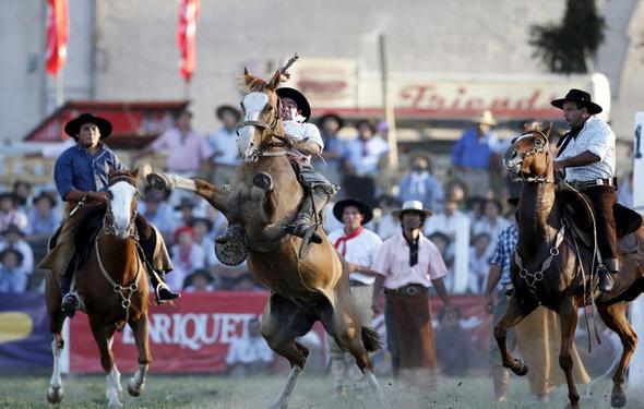 تصاویر : گاوچران های آمریکای لاتین‎