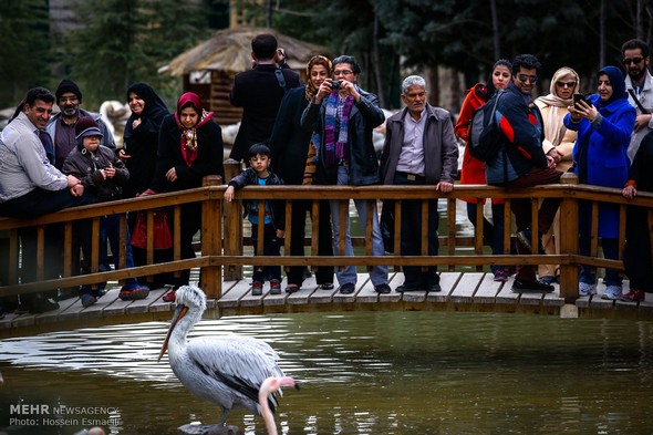 تصاویر : باغ پرندگان تهران