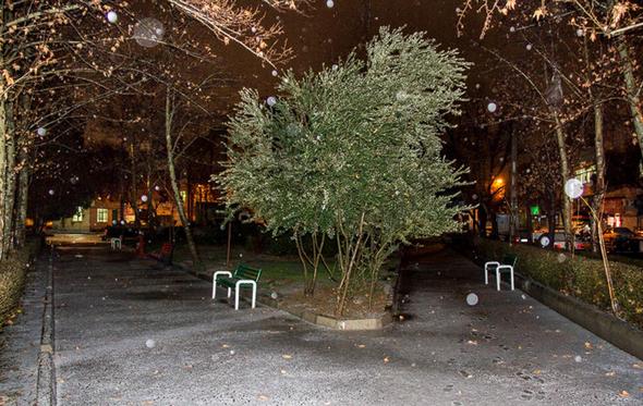 تصاویر : بارش برف و تگرگ در تهران
