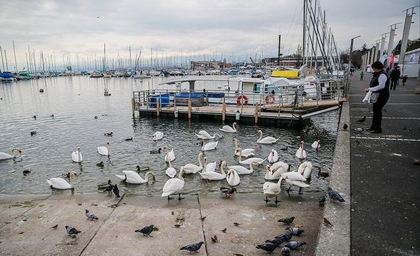 تصاویر : گشتی در لوزان سوییس
