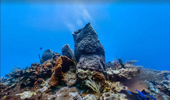 اعماق دریا از نگاه استریت ویو گوگل