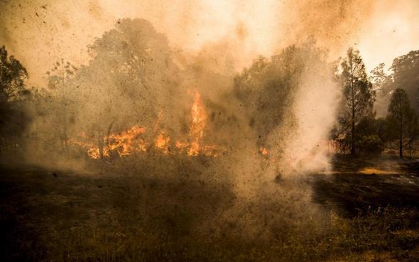 تصاویر : آتش‌سوزی گسترده در کالیفرنیا