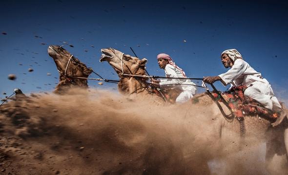 تصاویر : برندگان جایزه عکس نشنالجئوگرافی تصاویر : برندگان جایزه عکس نشنالجئوگرافی