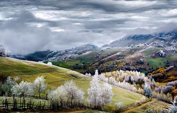 تصاویر : برندگان جایزه عکس نشنالجئوگرافی تصاویر : برندگان جایزه عکس نشنالجئوگرافی