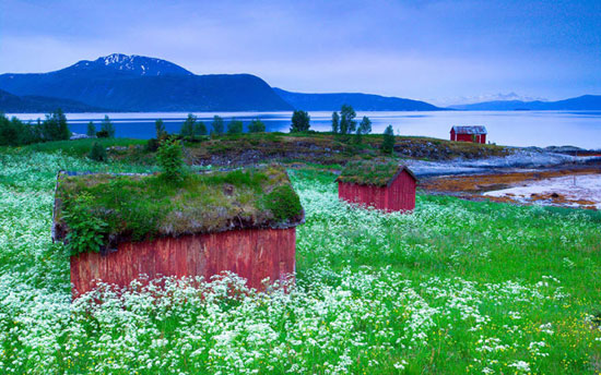 نروژ، سرزمین خانه‌های خیال‌انگیز