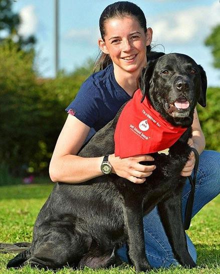 این سگ رکورددار اهدای خون است