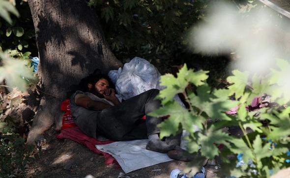 تصاویر : کارتون خواب های دره فرحزاد