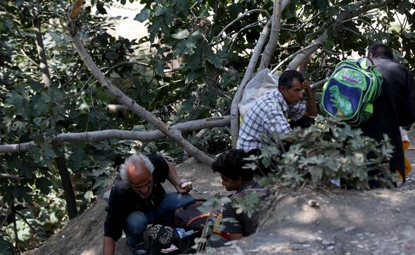 تصاویر : کارتون خواب های دره فرحزاد