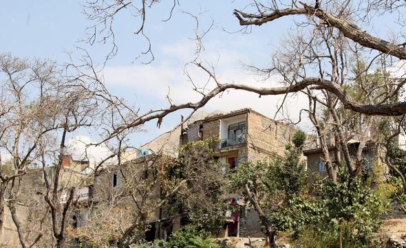 تصاویر : کارتون خواب های دره فرحزاد