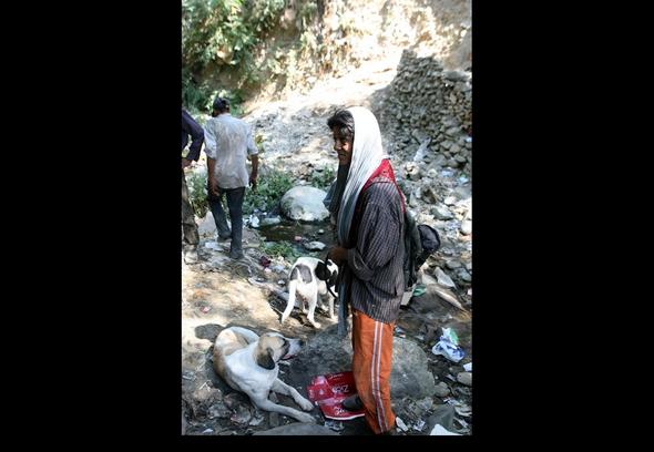 تصاویر : کارتون خواب های دره فرحزاد