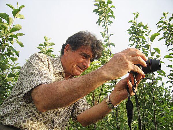 خبر تهوع آور «کیهان» در مورد بسترس شدن استاد شجریان!