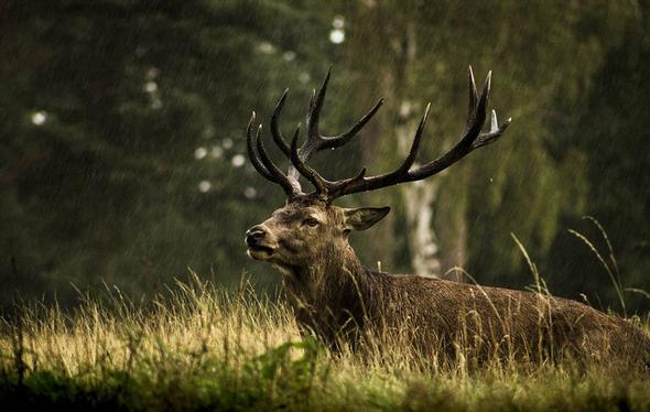 تصاویر : مسابقه عکاسی سونی ۲۰۱۶ تصاویر : مسابقه عکاسی سونی ۲۰۱۶