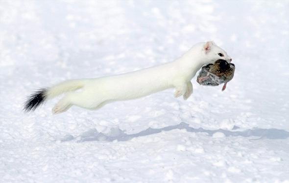 تصاویر : مسابقه عکاسی سونی ۲۰۱۶ تصاویر : مسابقه عکاسی سونی ۲۰۱۶