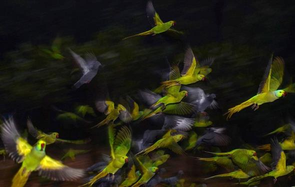 تصاویر : مسابقه عکاسی سونی ۲۰۱۶ تصاویر : مسابقه عکاسی سونی ۲۰۱۶