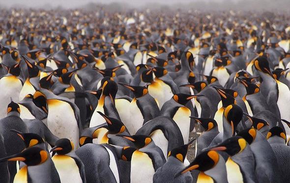 تصاویر : مسابقه عکاسی سونی ۲۰۱۶ تصاویر : مسابقه عکاسی سونی ۲۰۱۶