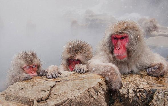 تصاویر : مسابقه عکاسی سونی ۲۰۱۶ تصاویر : مسابقه عکاسی سونی ۲۰۱۶