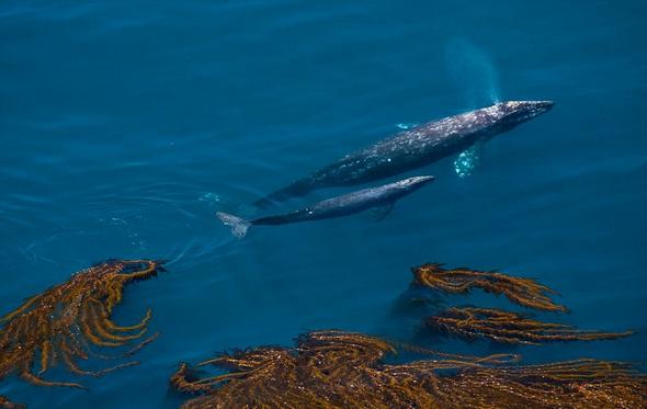 تصاویر : مسابقه عکاسی سونی ۲۰۱۶ تصاویر : مسابقه عکاسی سونی ۲۰۱۶