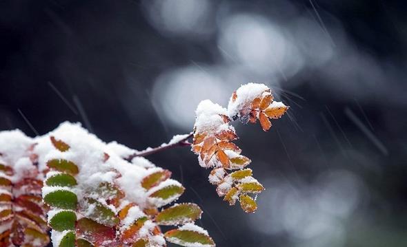 تصاویر : پاییز در نقاط مختلف جهان