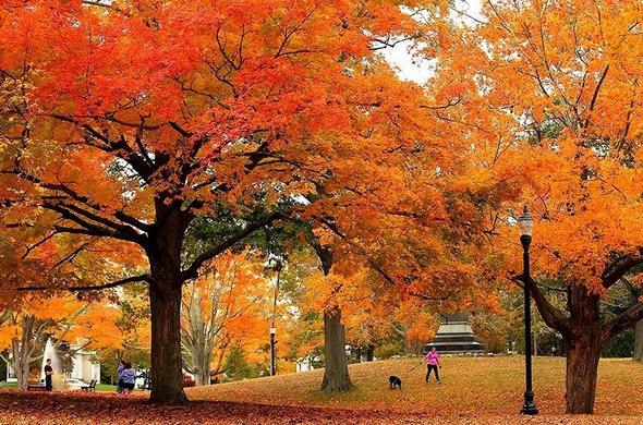 تصاویر : پاییز در نقاط مختلف جهان