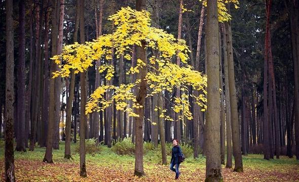 تصاویر : پاییز در نقاط مختلف جهان