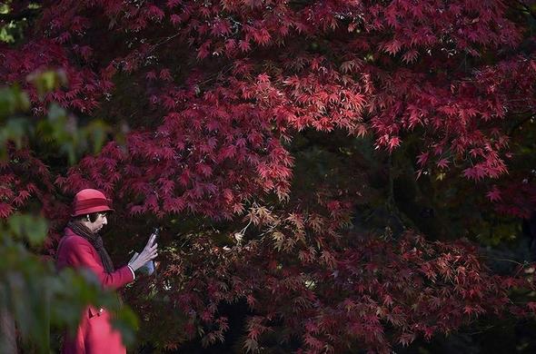 تصاویر : پاییز در نقاط مختلف جهان