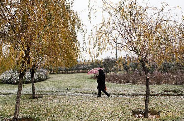 تصاویر : برف پائیزی در تهران