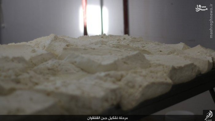 تصاویر: کارخانه لبنیات داعش