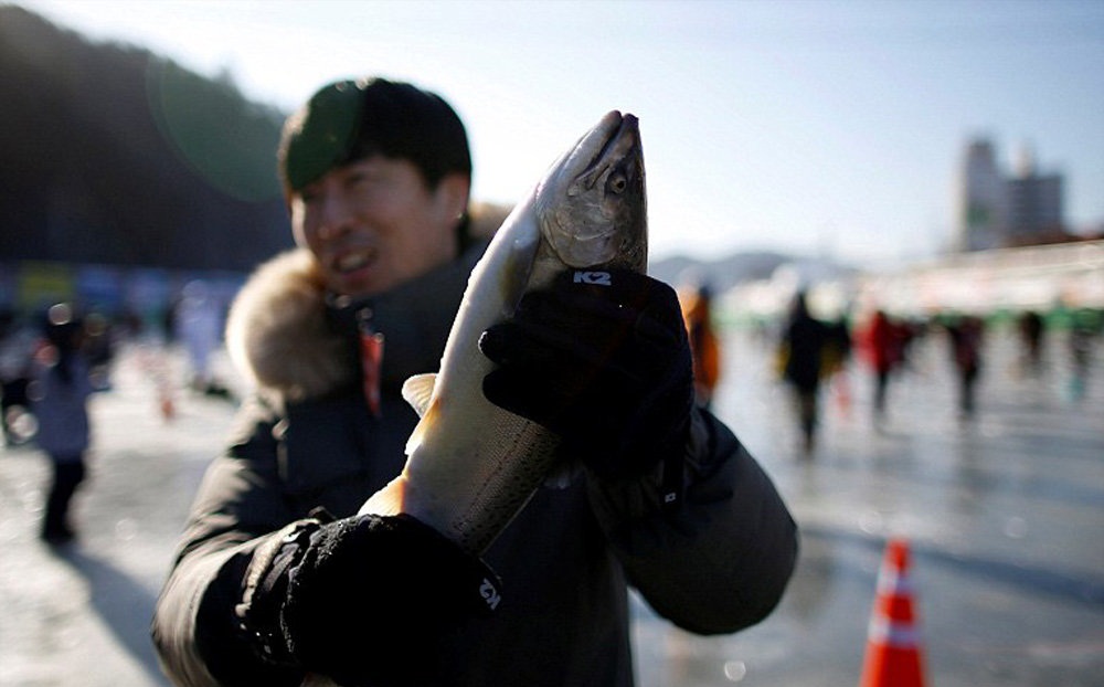 تصاویر : مسابقه سالانه ماهیگیری در کره جنوبی‎