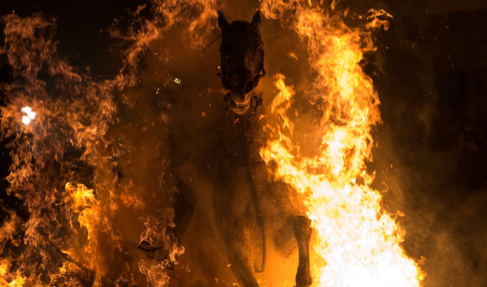 تصاویر : فستیوال عبور از آتش با اسب در اسپانیا