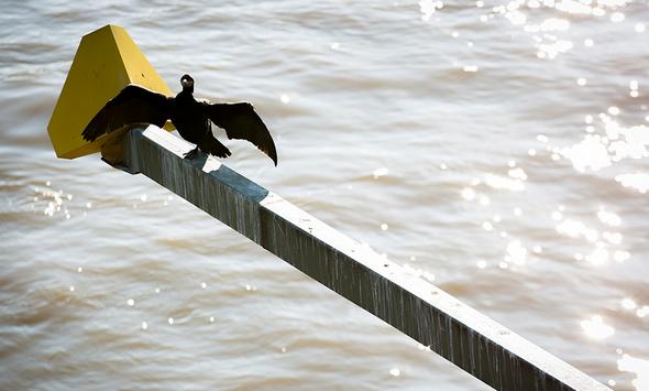 تصاویر : گشتی در اروپا