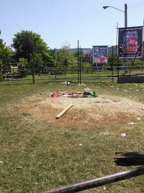 تنهایی تلخ اولادی/ عکس تنهایی تلخ اولادی/ عکس