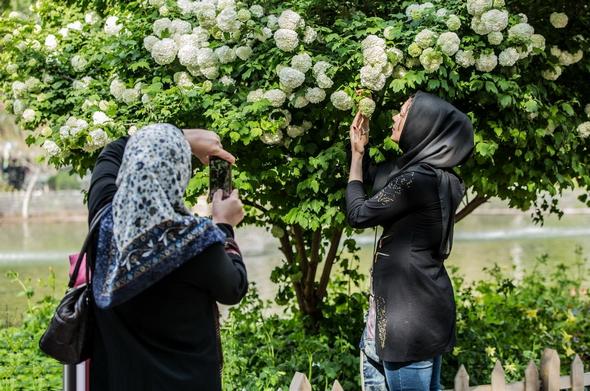 تصاویر : جشنواره گل لاله در کرج