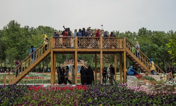 تصاویر : جشنواره گل لاله در کرج