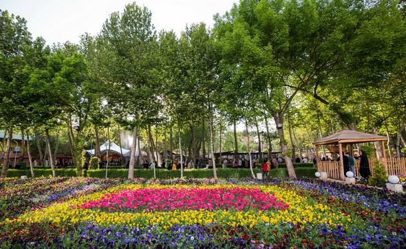 تصاویر : جشنواره گل لاله در کرج