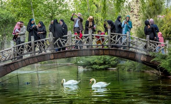 تصاویر : جشنواره گل لاله در کرج