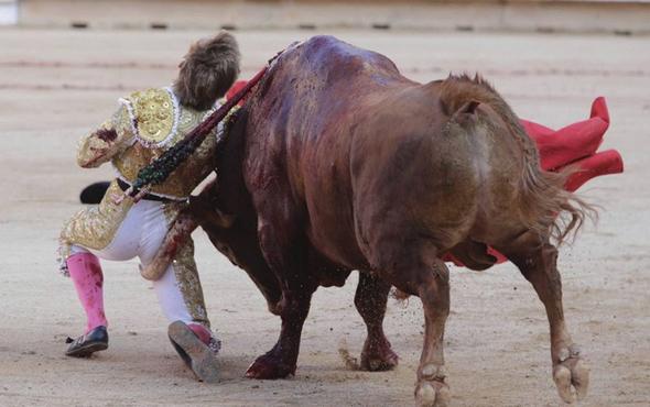 تصاویر : فستیوال خونین گاوبازی در اسپانیا