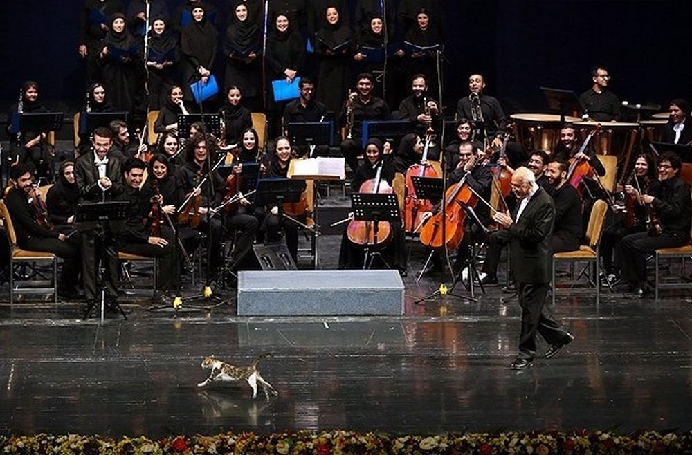 تصاویر : جشن هفدهمین سالگرد خانه موسیقی