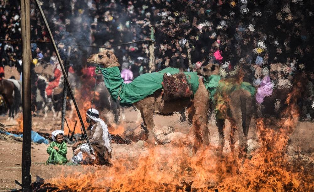 تصاویر : بزرگترین تعزیه میدانی کشور