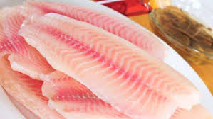 تولید ماهی چینی در یزد کلید خورد/قرارداد شیلاتی با آمریکا، انگلیس و کانادا